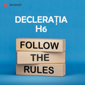 Rules for completing the H6 declaration